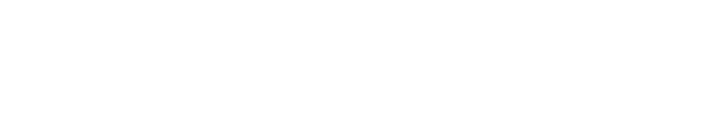 BrightSpring Health Services